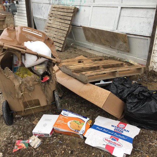 Illegal Dumping Clean up